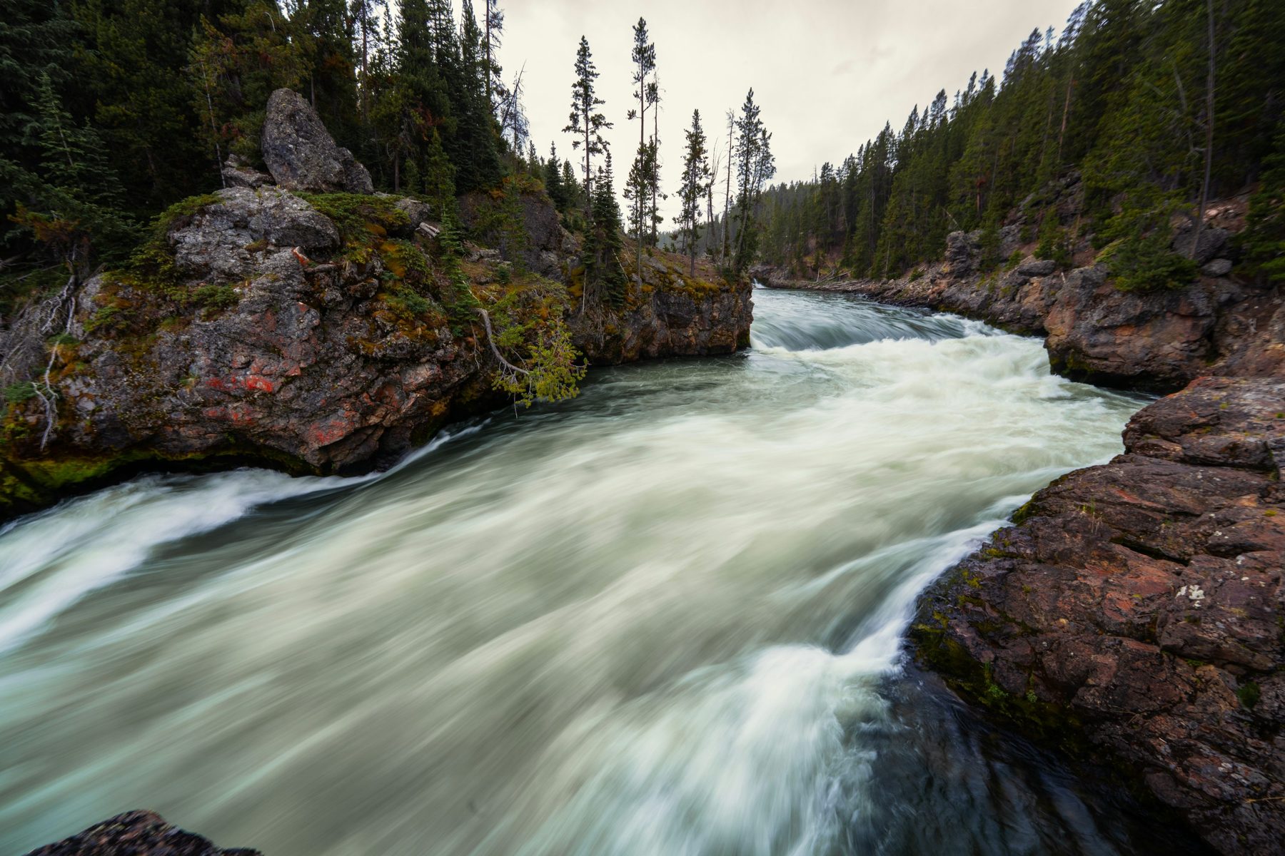 Ảnh minh họa river forest